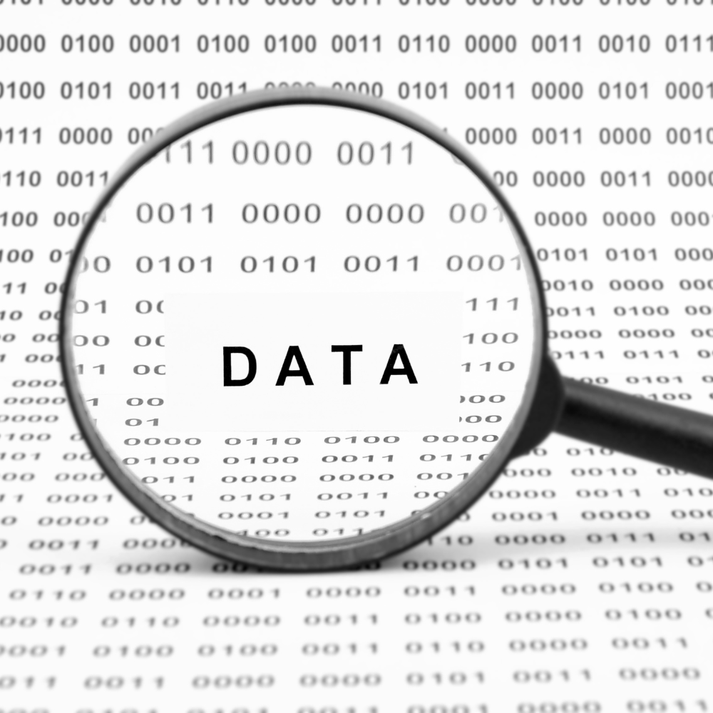 How To Secure Your Vendor Data to Avoid Internal & External Fraud